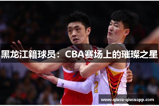 黑龙江籍球员：CBA赛场上的璀璨之星
