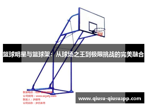 篮球明星与篮球架：从球场之王到极限挑战的完美融合