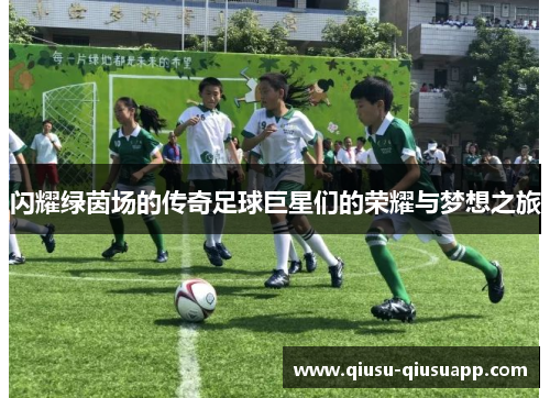 闪耀绿茵场的传奇足球巨星们的荣耀与梦想之旅